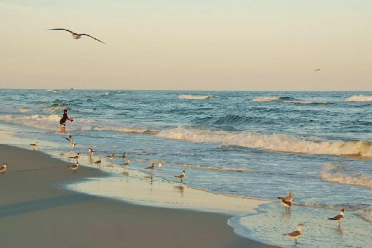 Apartamento Ocean Reef 110 Gulf Shores Exterior foto